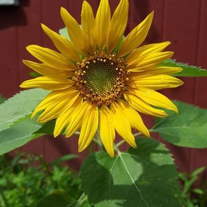 Meet your Posher, Rhea